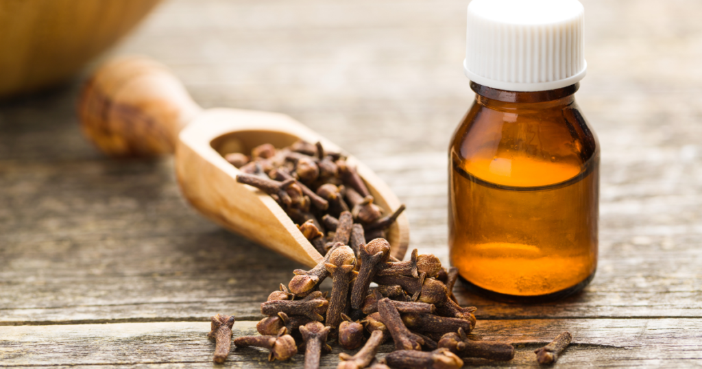 clove oil for tooth pain