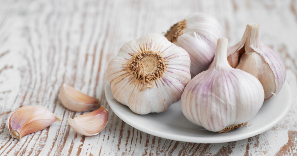 garlic for tooth pain