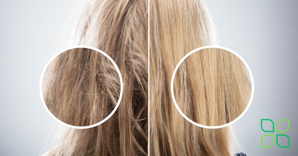 repair damaged hair naturally