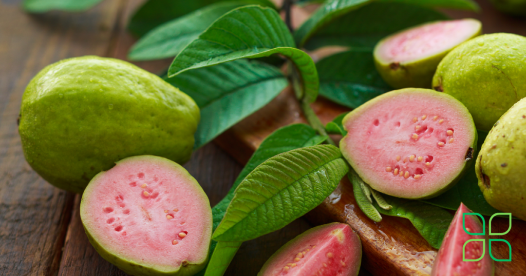 guava leaves for wisdom tooth pain