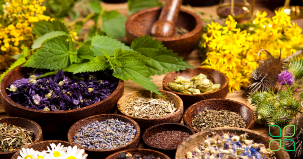 natural herbs to detox