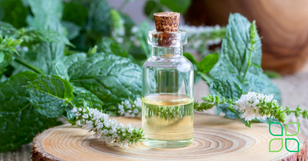 peppermint oil for hair growth