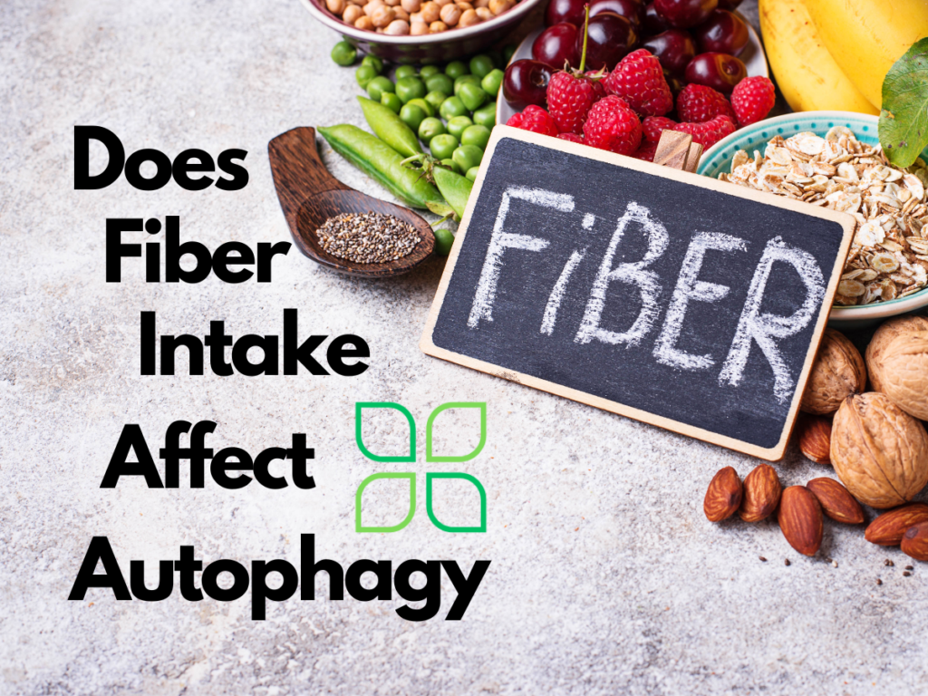 does fiber intake affect autophagy