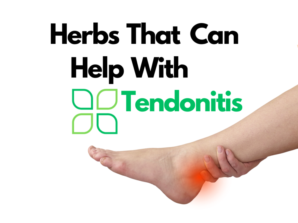 herbs that can help with tendonitis