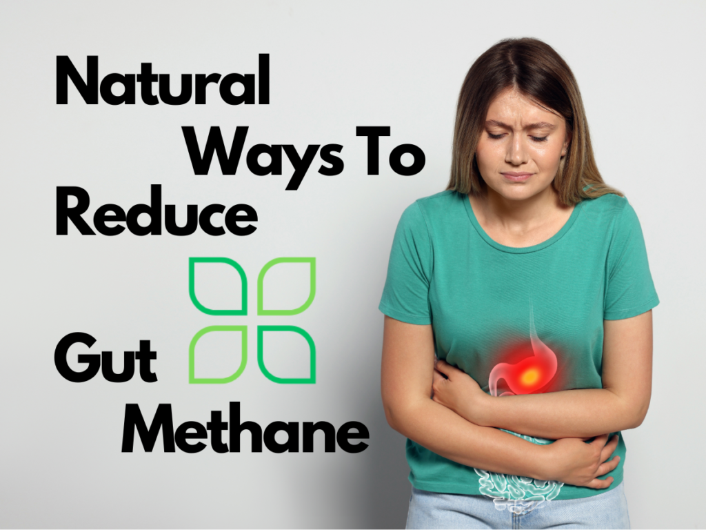 natural ways to reduce gut methane