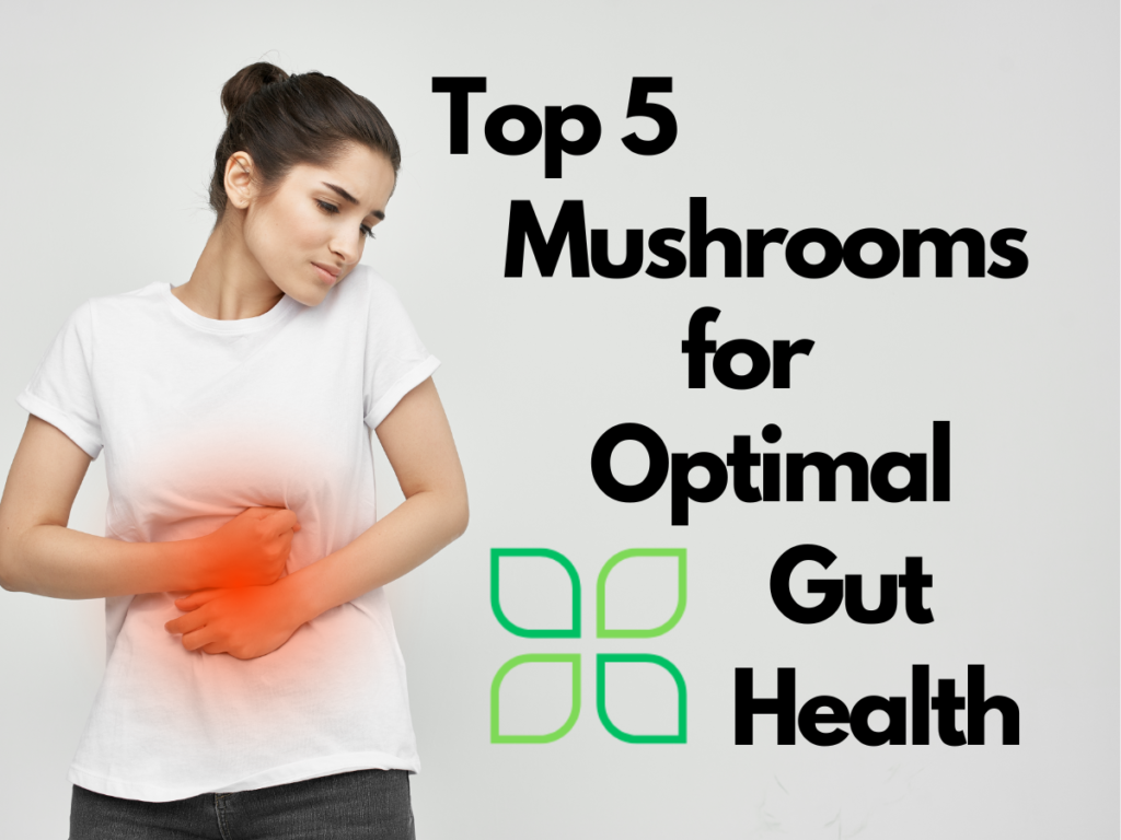 top 5 mushrooms for optimal gut health