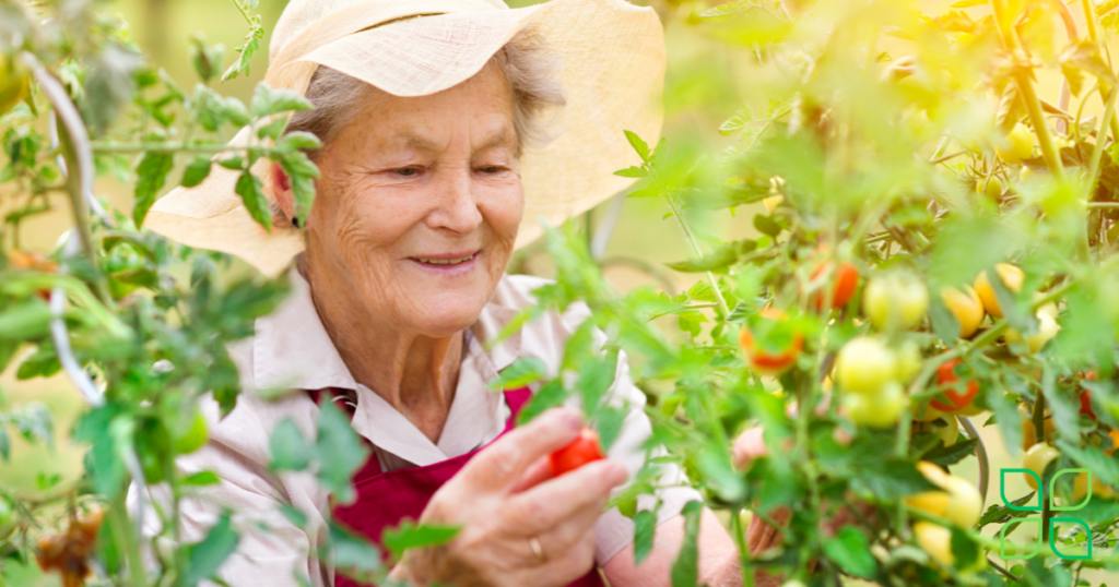 gardening for elderly