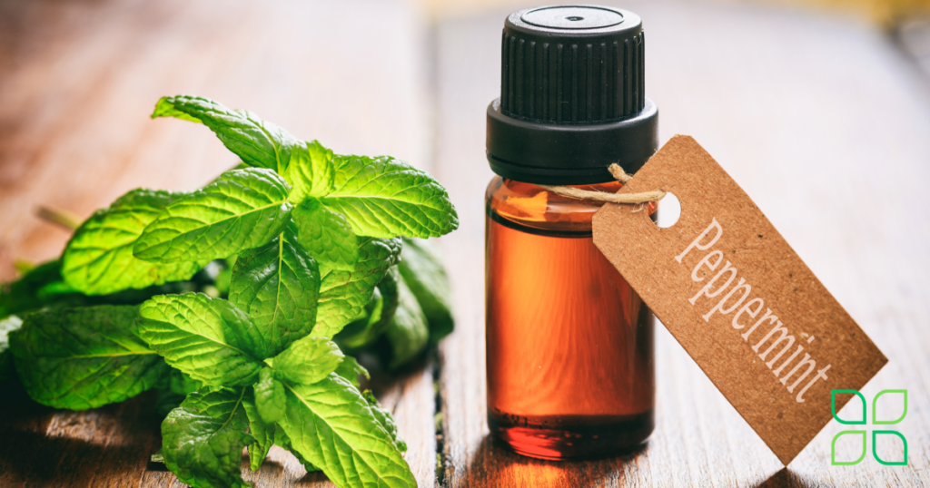 peppermint oil to reduce inflammation