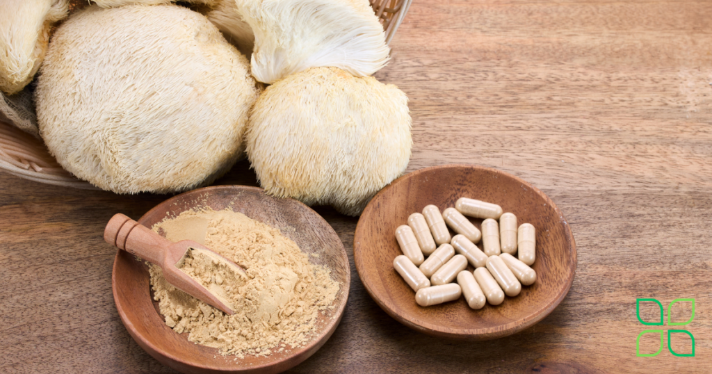 lion's mane mushrooms