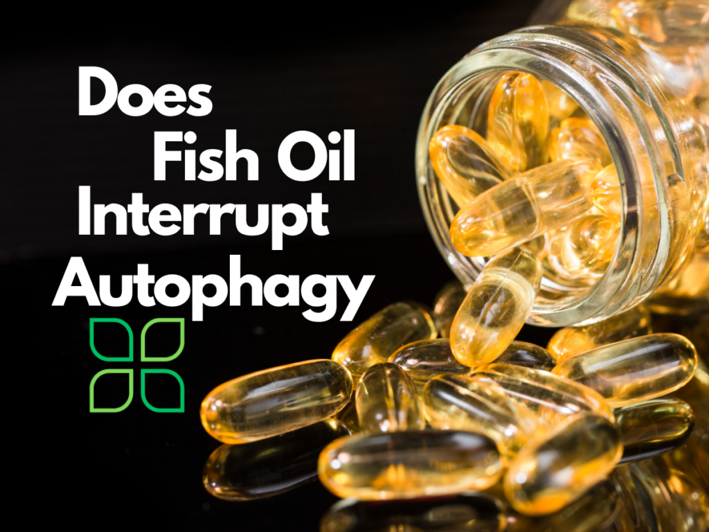 Does fish oil interrupt autophagy