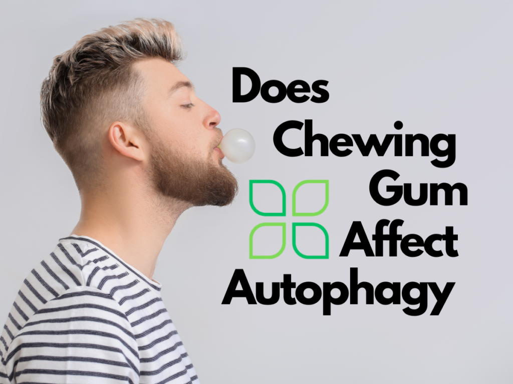 does chewing gum affect autophagy