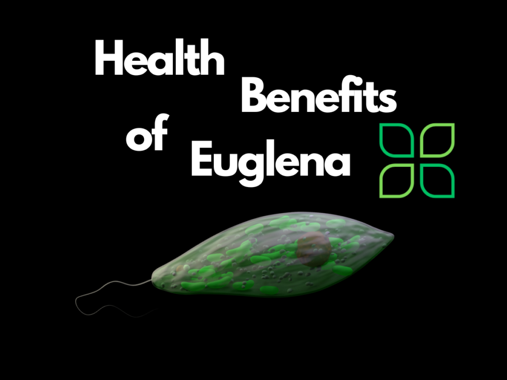 health benefits of euglena