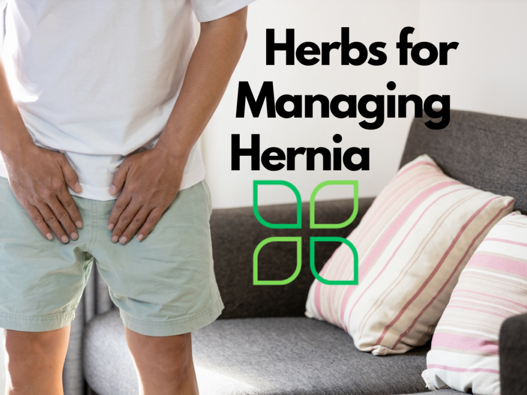 herbs for managing hernia