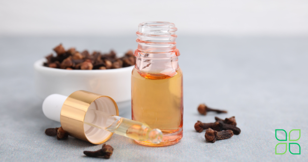 clove oil for gingivitis