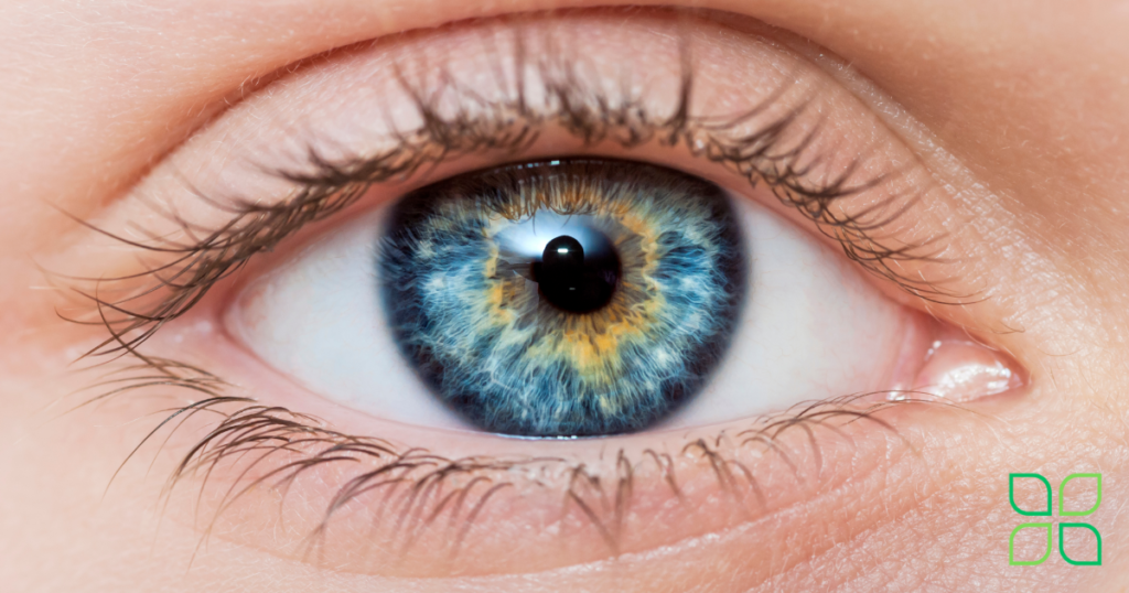 carotenoids are good for eye health